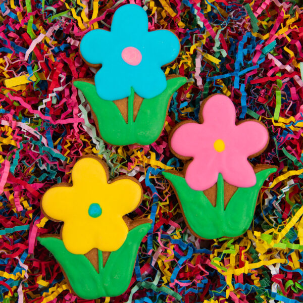 Flowers dog treats