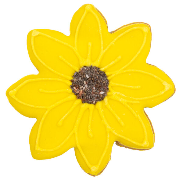 Sunflower dog treat