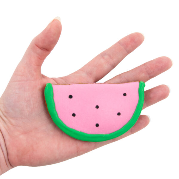 Watermelon dog treat