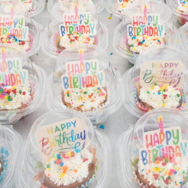 Happy Birthday Cupcake in Plastic Container