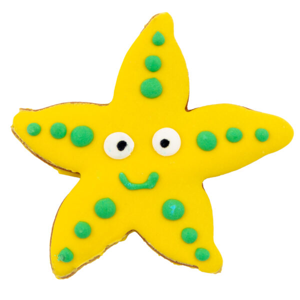 Starfish dog treat