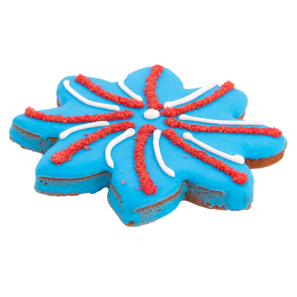 Firework dog treat