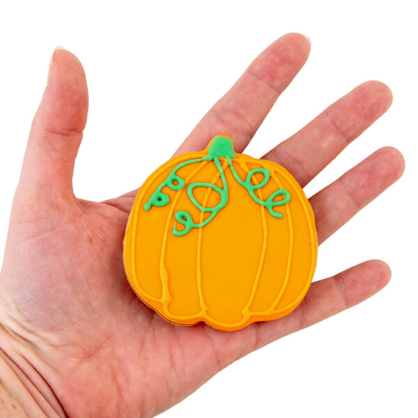 Garden Pumpkin dog treat