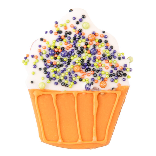 Cupcake with fall sprinkles