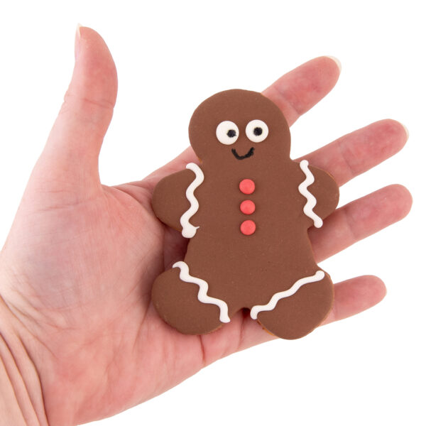 Gingerbread-Boy