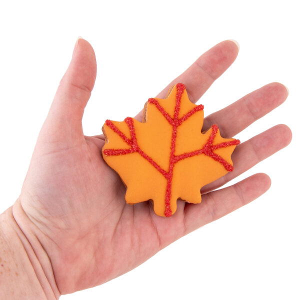 Leaf assorted colors -12 pack - Image 8