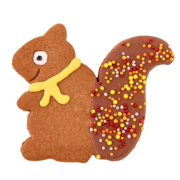 Squirrel w/scarf and sprinkles on tail