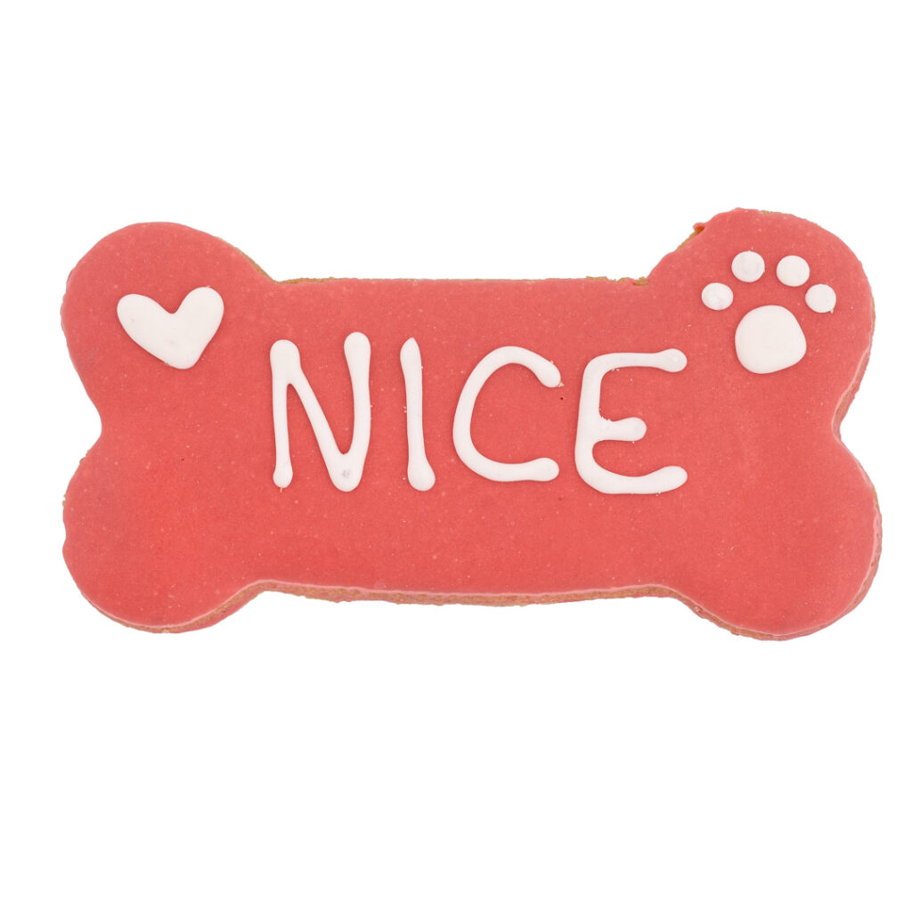 Nice dog cookie