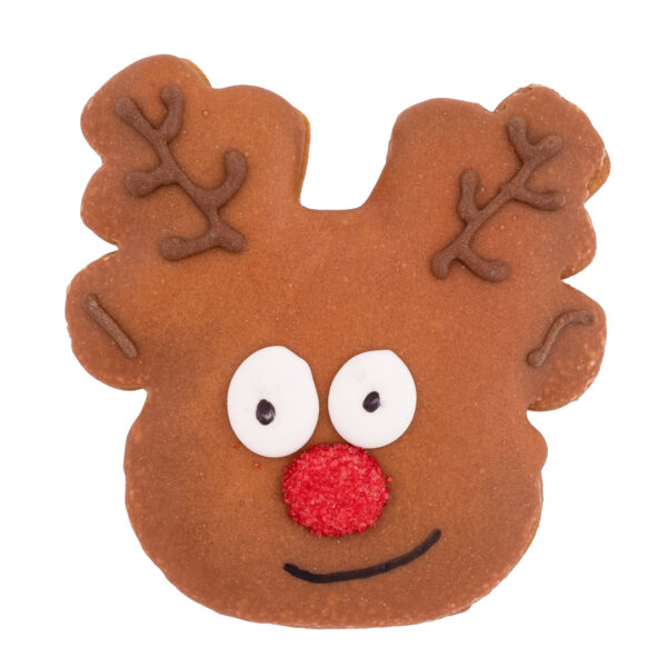 Rudolph dog cookie